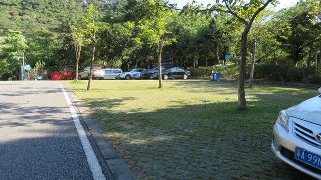 广州南沙18涌湿地公园(万亩的天然大氧巴黄山鲁森林公园)(4)