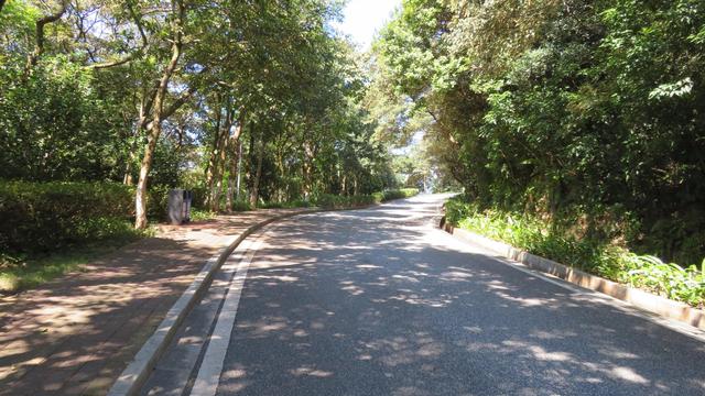 广州南沙18涌湿地公园(万亩的天然大氧巴黄山鲁森林公园)(11)