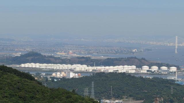 广州南沙18涌湿地公园(万亩的天然大氧巴黄山鲁森林公园)(28)