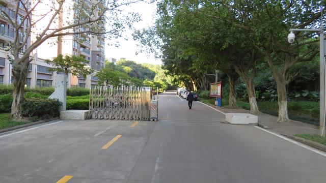 广州南沙18涌湿地公园(万亩的天然大氧巴黄山鲁森林公园)(2)