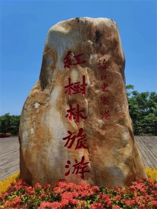 ​说说含“大”字的成语大世界（待续）