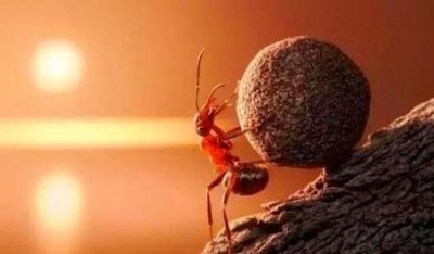 ​靠山山跑靠人人倒是什么意思(靠山山会倒,靠人人会跑,只有自己最可靠)