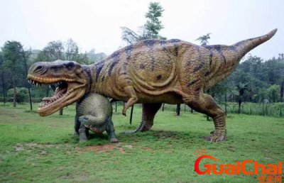 恐龙有哪些种类?恐龙有什么名字?