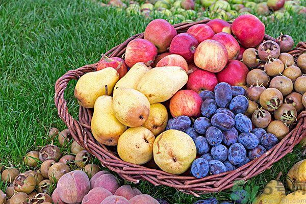 桃子和梨子能一起吃吗?桃子和梨子一起吃好吗? 桃子和梨子能一起吃吗?桃子和梨子一起吃好吗?