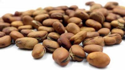 ​蚕豆热量高吗（炒蚕豆热量高吗吃了会胖吗）