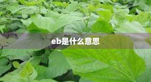 eb是什么意思