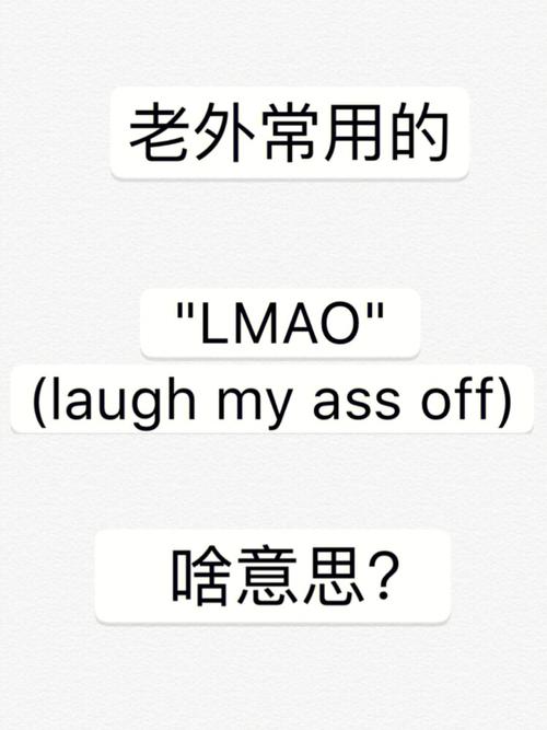 lmao是什么意思（lmao的解释）