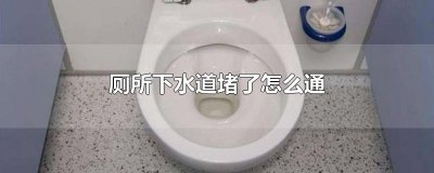​厕所下水道堵了怎么通