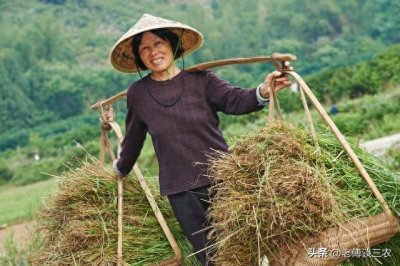 ​农村留守妇女个人生活混乱，具体有5个原因造成的，怎样解决？