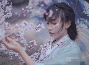 李子柒怎么盈利 靠接广告赚钱和流量赚钱