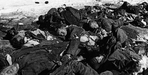 二战各个国家死亡人数,两个法西斯国家都是战斗死亡人数多于平民