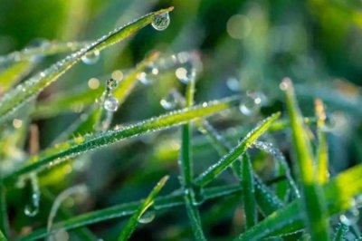 ​多音字“露”的两个读音之间的关系