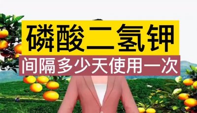 ​磷酸二氢钾间隔多久使用一次才合理