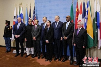丹麦等五国开始担任联合国安理会非常任理事国