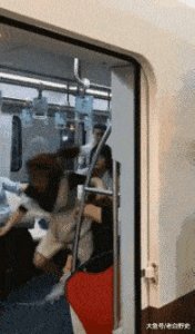 笑岔气了！30张搞笑动图我最喜欢：这美女太妖娆了，快成腰精啦！