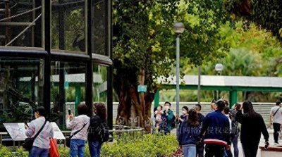 ​2022新版身份证，惊艳来袭！