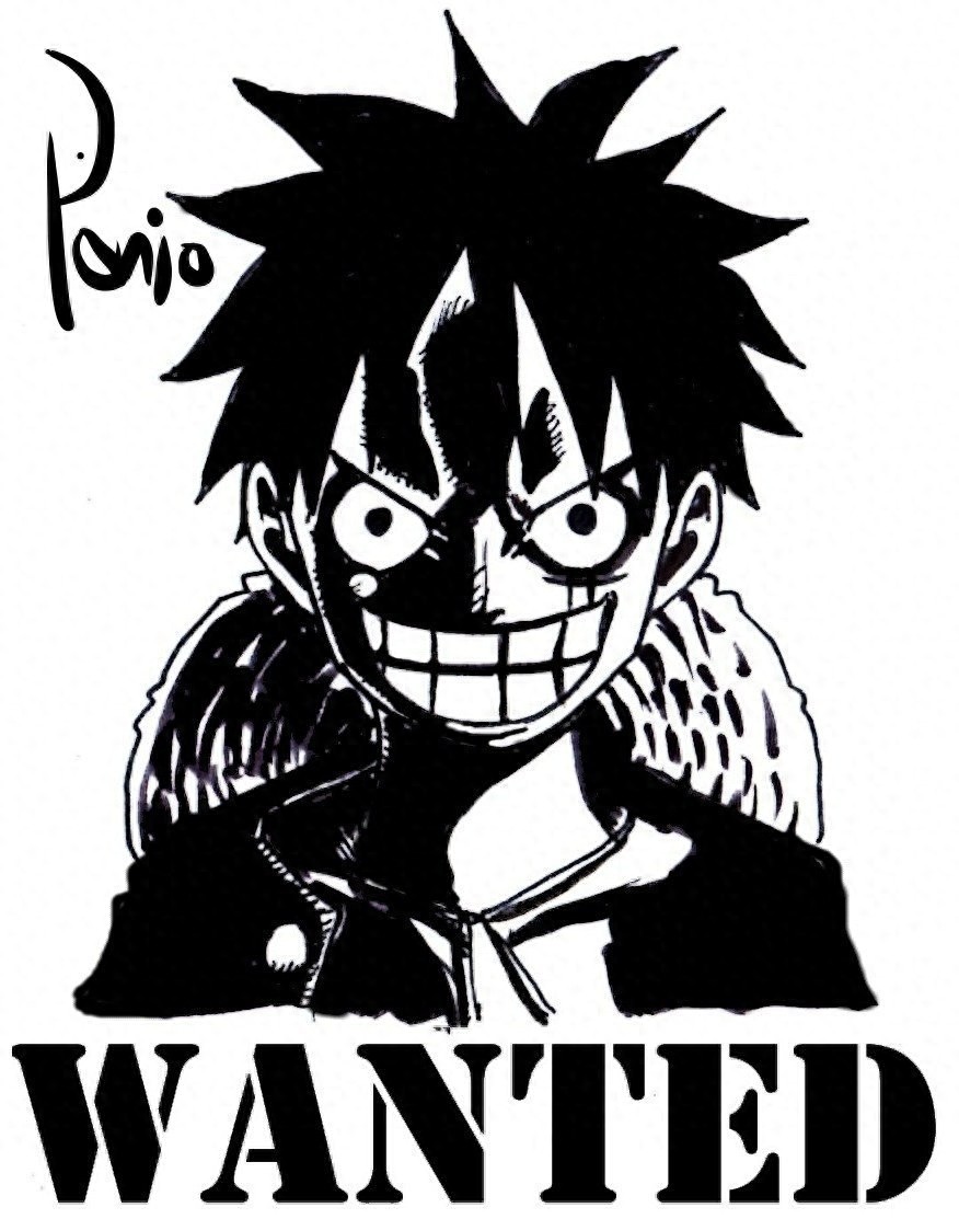 《海贼王》：手绘黑白人物头像，全员通缉