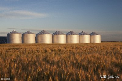 ​14亿人1年都吃不完的粮食，中国北大仓！