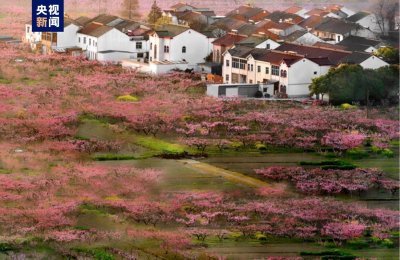 ​阳山半程马拉松将于3月26日开跑