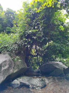 ​支配与服从：病态关系双重奏