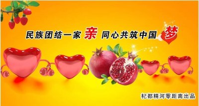 ​「发声亮剑·八」坚决贯彻落实总目标、维护社会稳定和长治久安