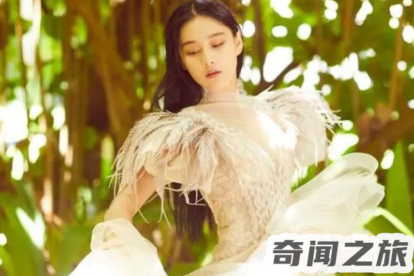 张馨予个人信息资料(家庭事业双丰收)(2)_