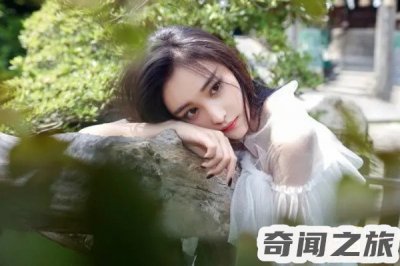 ​张馨予个人信息资料(家庭事业双丰收)