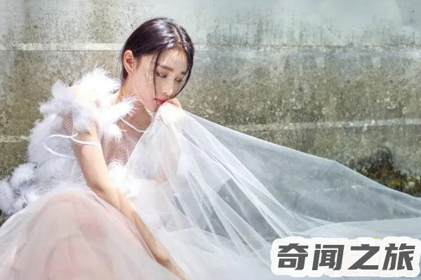 张馨予个人信息资料(家庭事业双丰收)(4)_