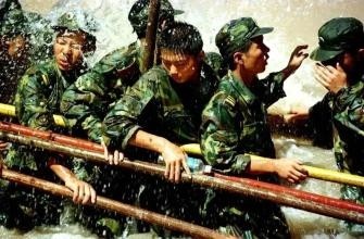 中国为何能震惊世界?英国教授研究了20年:中国人把团结刻在骨里