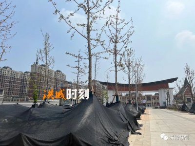 ​南昌心远中学教育集团正式挂牌！这里迎来全新学校