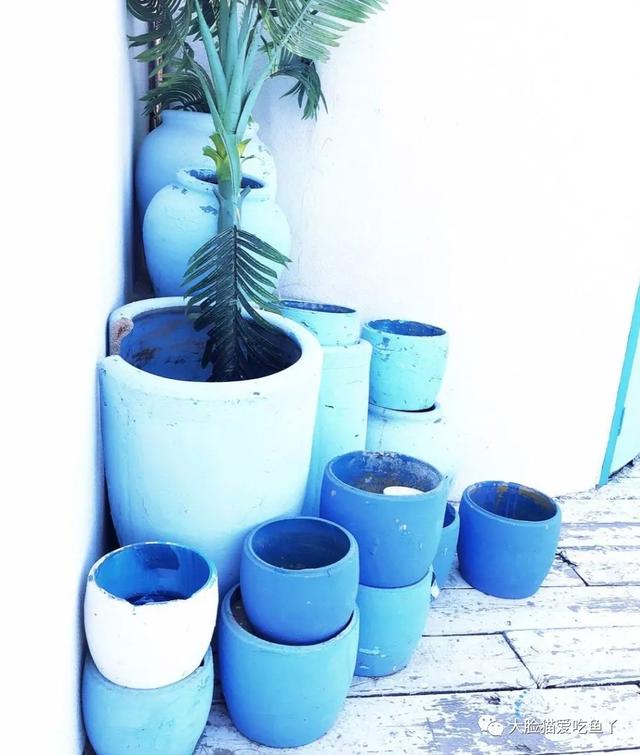 秦皇岛海边旅游攻略三日游(史上最全秦皇岛旅行攻略)(6)