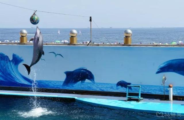 秦皇岛海边旅游攻略三日游(史上最全秦皇岛旅行攻略)(17)