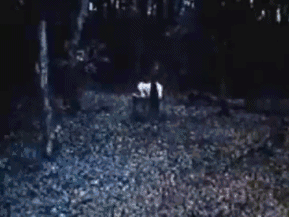 三个版本的贞子忍不住笑了(贞子的女演员居然长这样)(29)