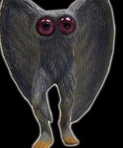 ​关于天蛾人的传说众说纷纷，直到美国人发现并表示它真的存在