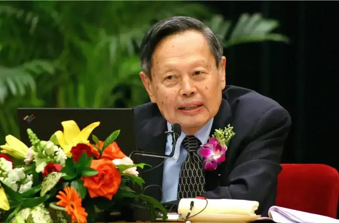 杨振宁和翁帆的孩子,一定会有才有貌