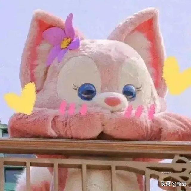 内娱第一人花瓶简介 从内娱顶流到土俗老板风(5)