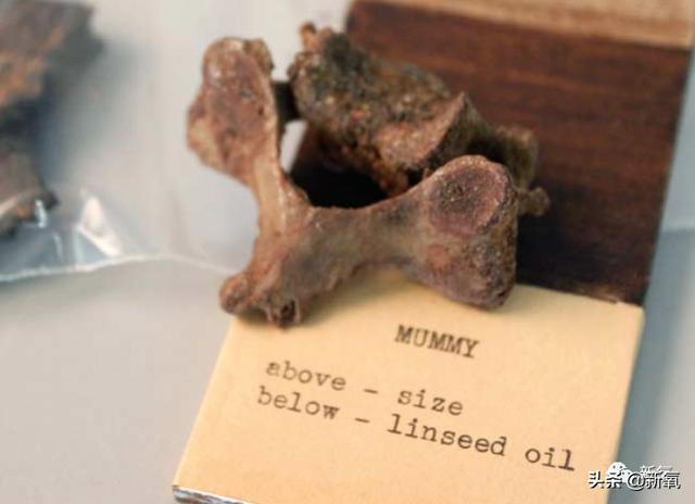 内娱第一人花瓶简介 从内娱顶流到土俗老板风(24)