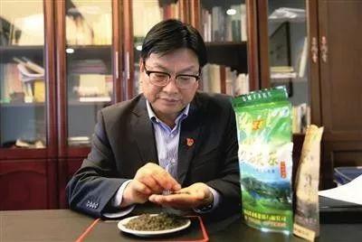 明前都匀毛尖茶简介(解锁都匀毛尖茶的基因密码)(3)
