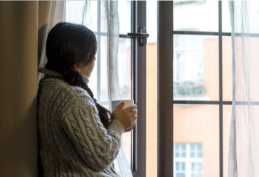 什么植物可以吸收甲醛,什么植物除甲醛效果最好最快图14