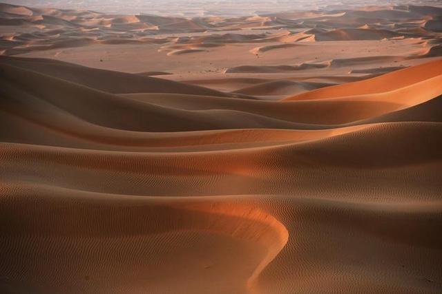 野外探险发现一只甲虫（罗布泊发现轿车大的神秘甲虫）(9)