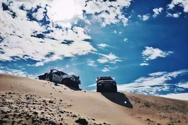 野外探险发现一只甲虫（罗布泊发现轿车大的神秘甲虫）(6)