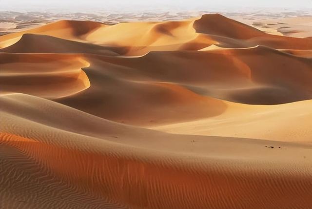 野外探险发现一只甲虫（罗布泊发现轿车大的神秘甲虫）(10)