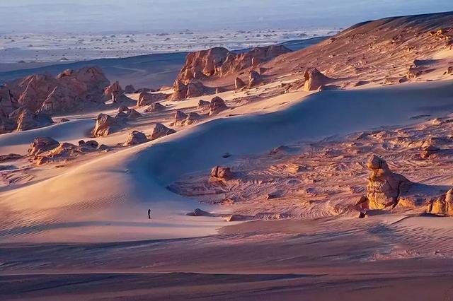 野外探险发现一只甲虫（罗布泊发现轿车大的神秘甲虫）(2)