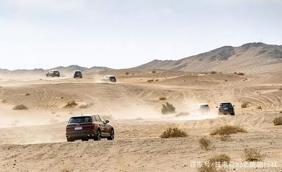 ​野外探险发现一只甲虫（罗布泊发现轿车大的神秘甲虫）