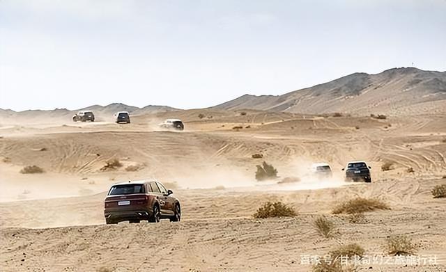 野外探险发现一只甲虫（罗布泊发现轿车大的神秘甲虫）(1)