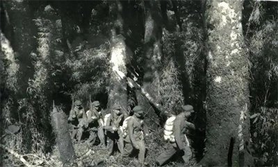 ​1956年，为找一失踪士兵，解放军在云南哀牢山发现一群原始人