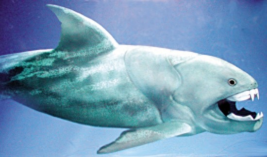 远古海霸王邓氏鱼，一口就能把鲨鱼咬成两截，你见过吗？