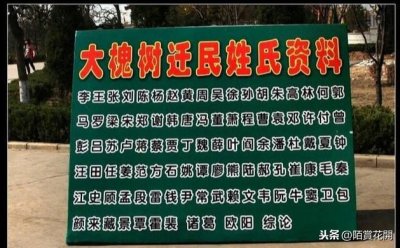 有多少姓氏是从山西大槐树迁移出来的?