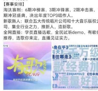 ​有歌2024首播哪样的音综你见过吗