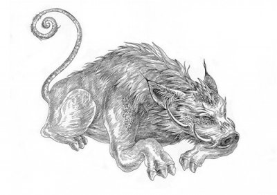 山海经中真实存在的动物当康